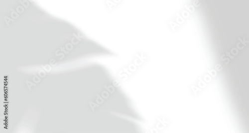 Realistic blurred natural light leaves, palm and window shadow overlay on wall paper or frames texture, abstract background, summer, spring, autumn for product presentation podium and mockup seasonal.