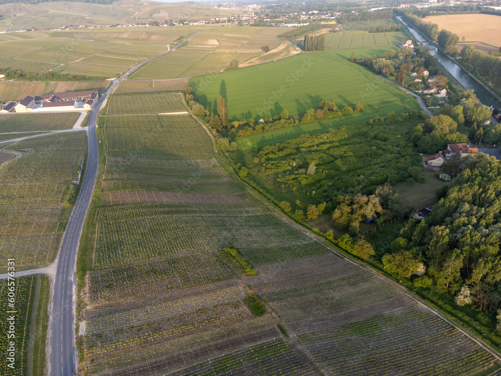 Panoramic aerial view on green premier cru champagne vineyards and fields near village Hautvillers and  Cumieres and Marne river valley, Champange, France