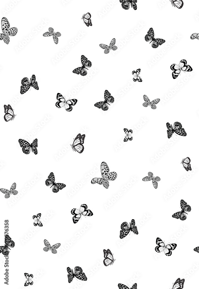 Obraz premium mariposas