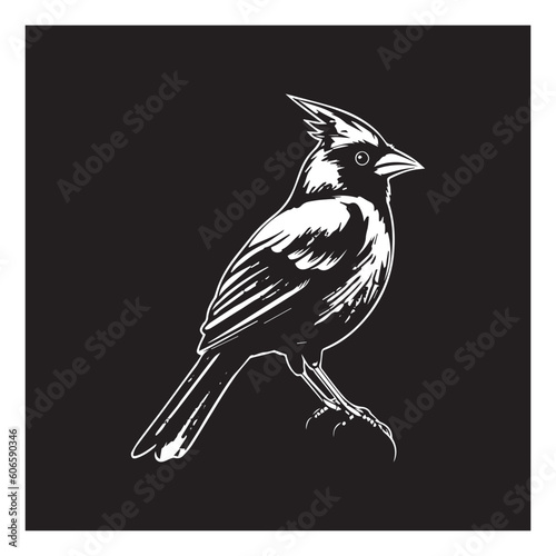 cardinal bird vector logo - black and white . Abstract drawing Vector illustration 