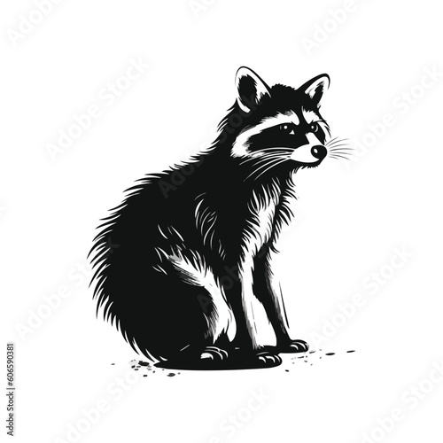 black racoon vector logo - black and white . Abstract drawing Vector illustration
