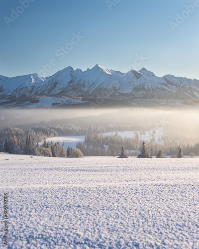 Fototapeta Naklejka Na Ścianę i Meble -  Krajobraz zimowy z górami, Tatry