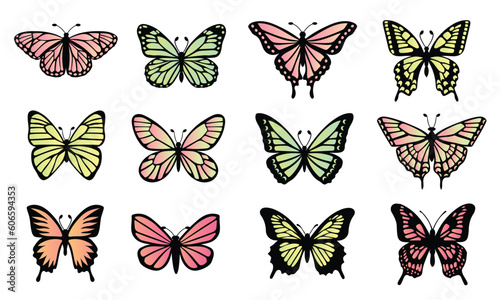 12 Hand-drawn Colorful Butterfly Illustrations
