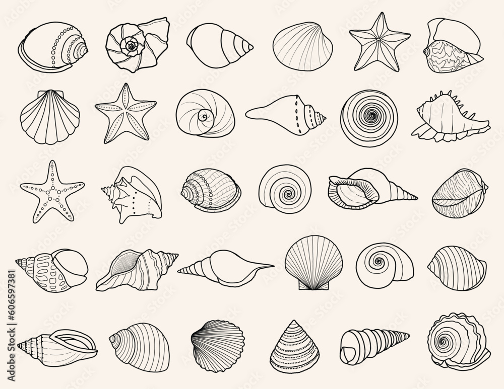 Set of 30 hand-drawn seashells Set of 30 hand-drawn seashells