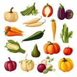 collection of vegetables