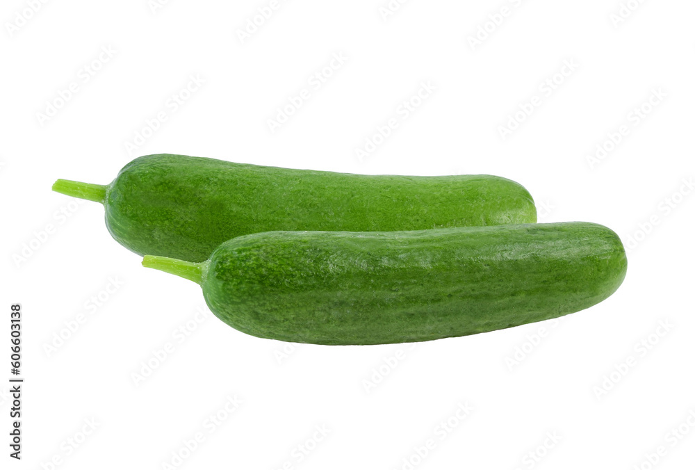Fresh cucumber isolated on transparent png Fresh cucumber isolated on transparent png