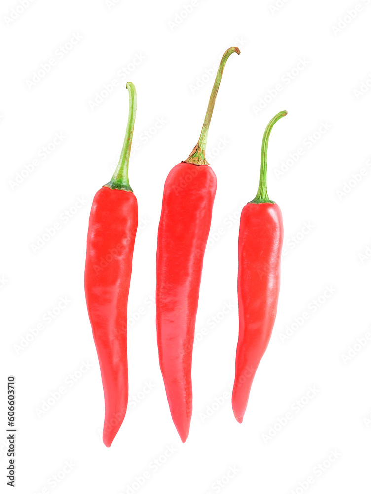 chili pepper isolated  on  transparent png