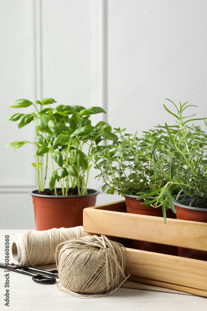 Different aromatic potted herbs, treads, and scissors on white wooden table