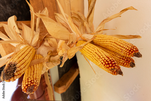 Dry corn on the cob