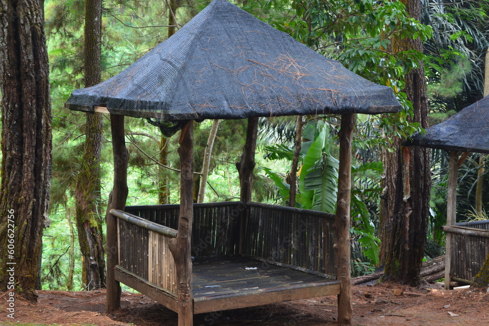 Educational tourism village in the forest, tourism village in Indonesia Educational tourism village in the forest, tourism village in Indonesia