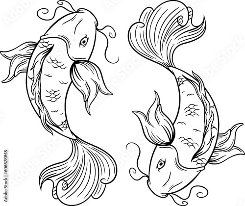 hand drawn koi illustration