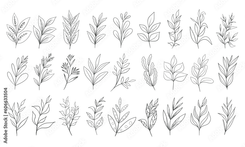 Fototapeta premium Hand drawn floral herbs set elements