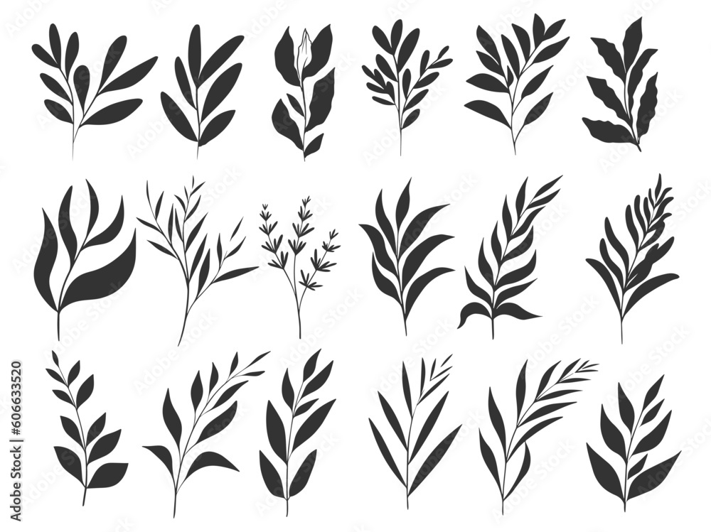 Set of hand drawn floral and herb silhouette collection Set of hand drawn floral and herb silhouette collection
