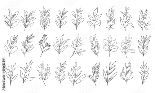 Hand drawn floral herbs set elements
