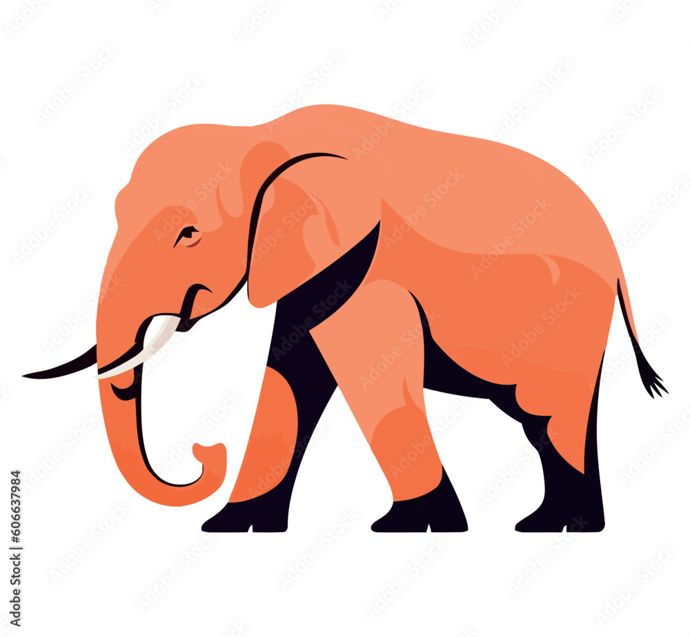 Fototapeta premium Cute elephant walking