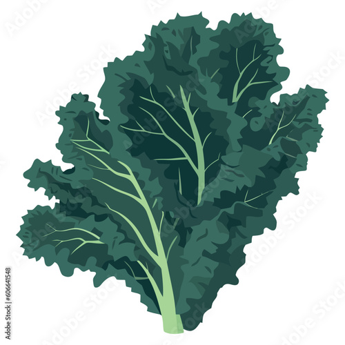 Fresh organic leaf