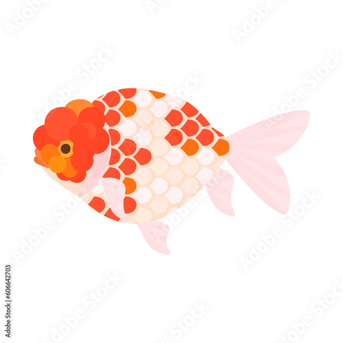 金魚（桜錦）。フラットなベクターイラスト。
Sakuranishiki goldfish. Flat designed vector illustration.