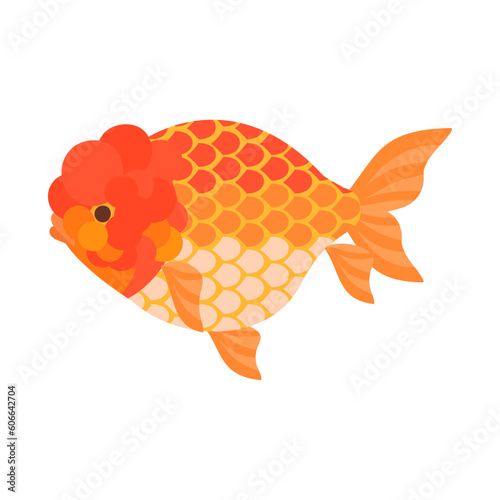 金魚（ライオンヘッド）。フラットなベクターイラスト。
Lionhead goldfish. Flat designed vector illustration.