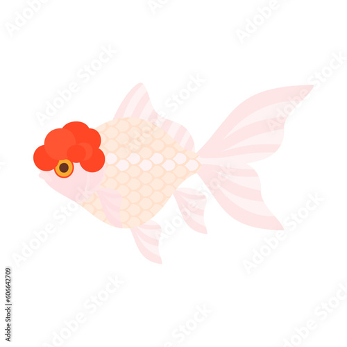 金魚（丹頂）。フラットなベクターイラスト。
Red cap Oranda goldfish. Flat designed vector illustration.