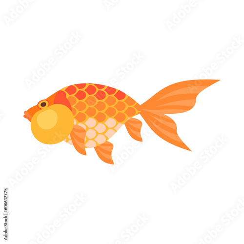 金魚（水泡眼）。フラットなベクターイラスト。
Bubble eye goldfish. Flat designed vector illustration.