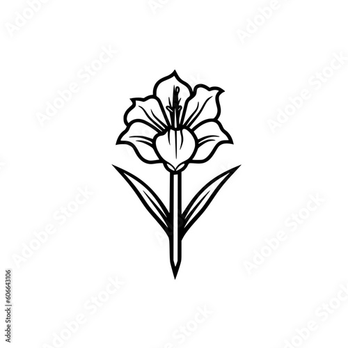 Gladiolus flower vector illustration isolated on transparent background