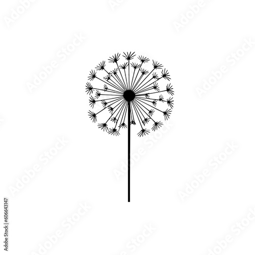 Fototapeta Naklejka Na Ścianę i Meble -  Dandelion flower vector illustration isolated on transparent background