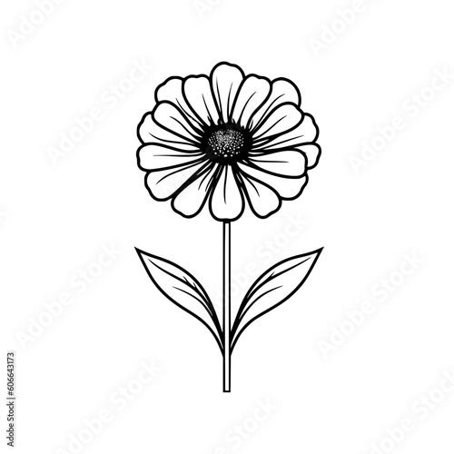 Zinnia flower vector illustration isolated on transparent background