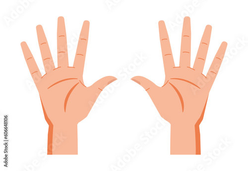 Vector de manos editable. Palma de la mano. Dedos. Cuerpo humano.