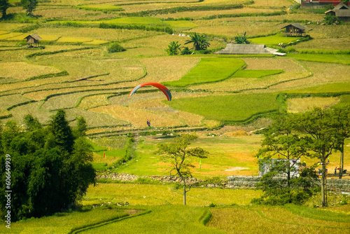 terraces rice fields in vietnam photo