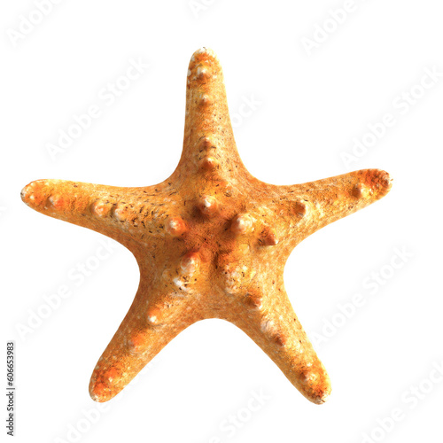 3d illustration of Starfish isolated on transparent background