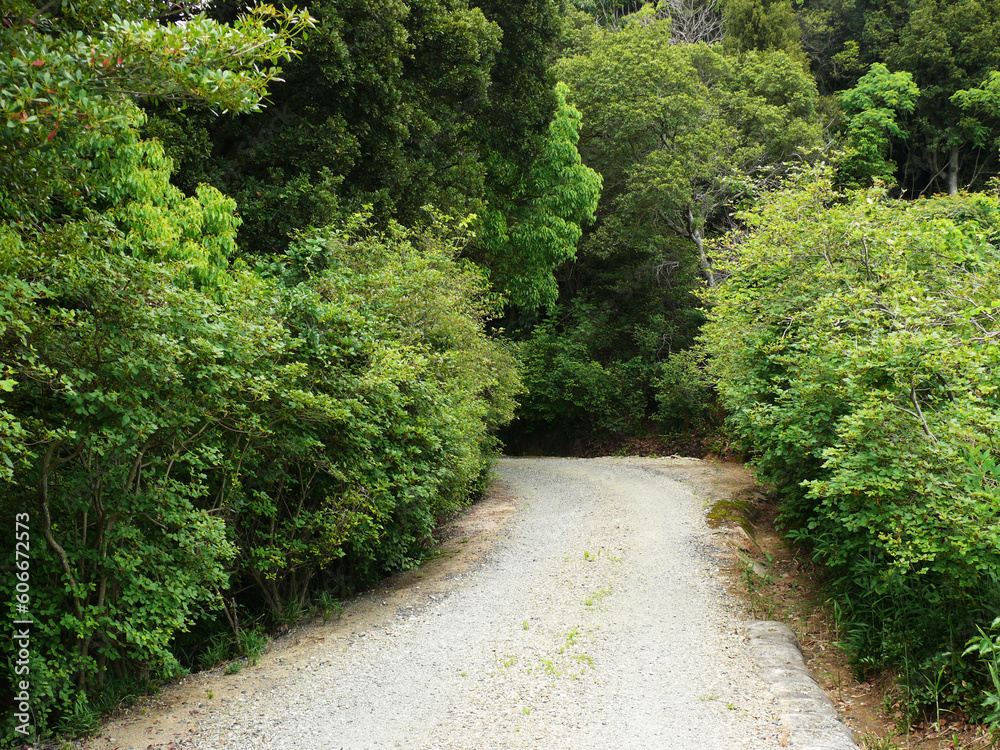 森の中の道。
未舗装の山道。
日本の田舎の風景。 森の中の道。
未舗装の山道。
日本の田舎の風景。