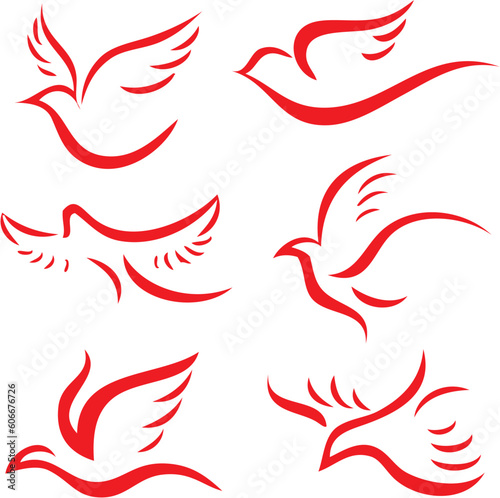 red and white birds