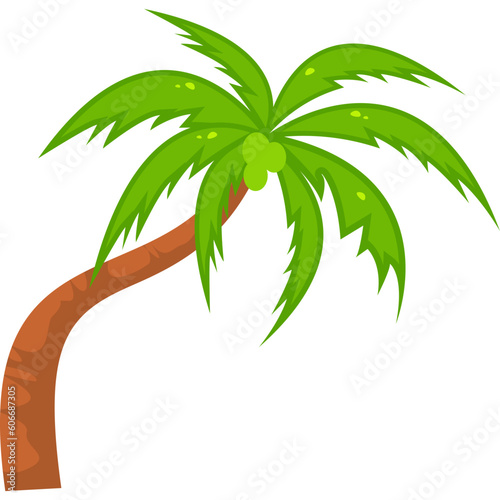 Coconut Tree Illustration