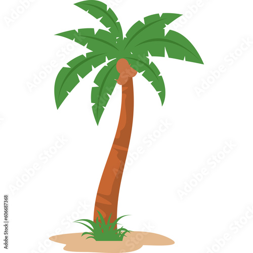 Coconut Tree Illustration