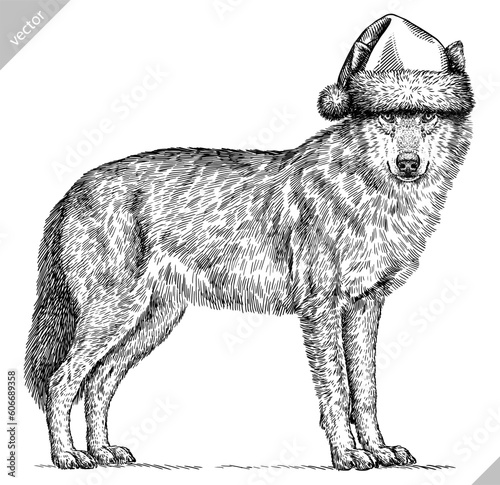 Vintage engraving isolated gray wolf set dressed christmas illustration ink santa costume sketch. Wild dog background animal silhouette new year hat art. Black and white hand drawn vector image.