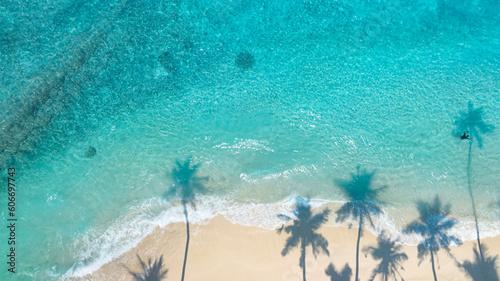 Fototapeta Naklejka Na Ścianę i Meble -  Summer palm tree  and Tropical beach with blue  sky background