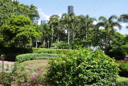 Parkanlage mit Blumen und Palmen in Brisbane photo