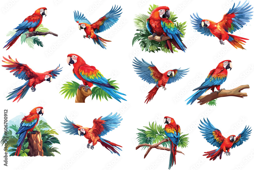 Stunning Scarlet Macaw - Illustration in Vector with Isolated Background