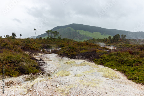 Sulphuric Springs near Rotorua, New Zealand photo