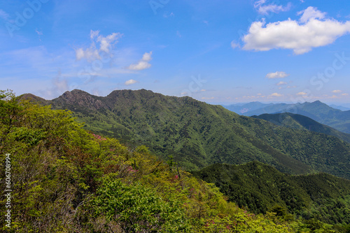 新緑の広がる晴れの日の山脈 © 雄太 久保