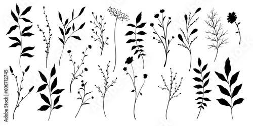 Set of branch and leaves collection. Floral hand drawn vintage set. Sketch line art illustration. Element design for greeting cards and invitations of the wedding, birthday