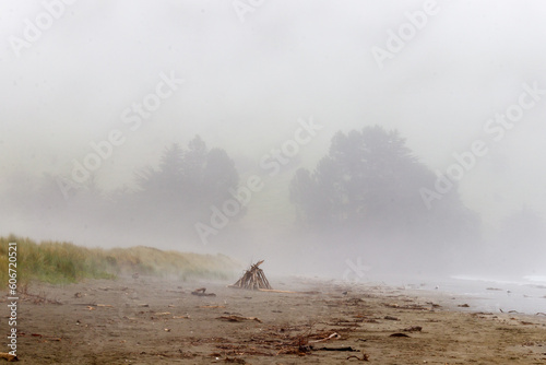 Beach in dense fog on banks Peninsula, new Zealand 