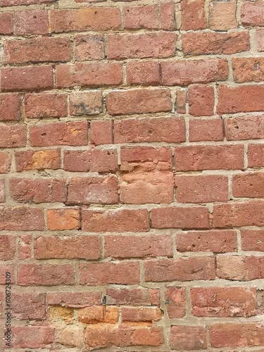 Fototapeta na wymiar oznor