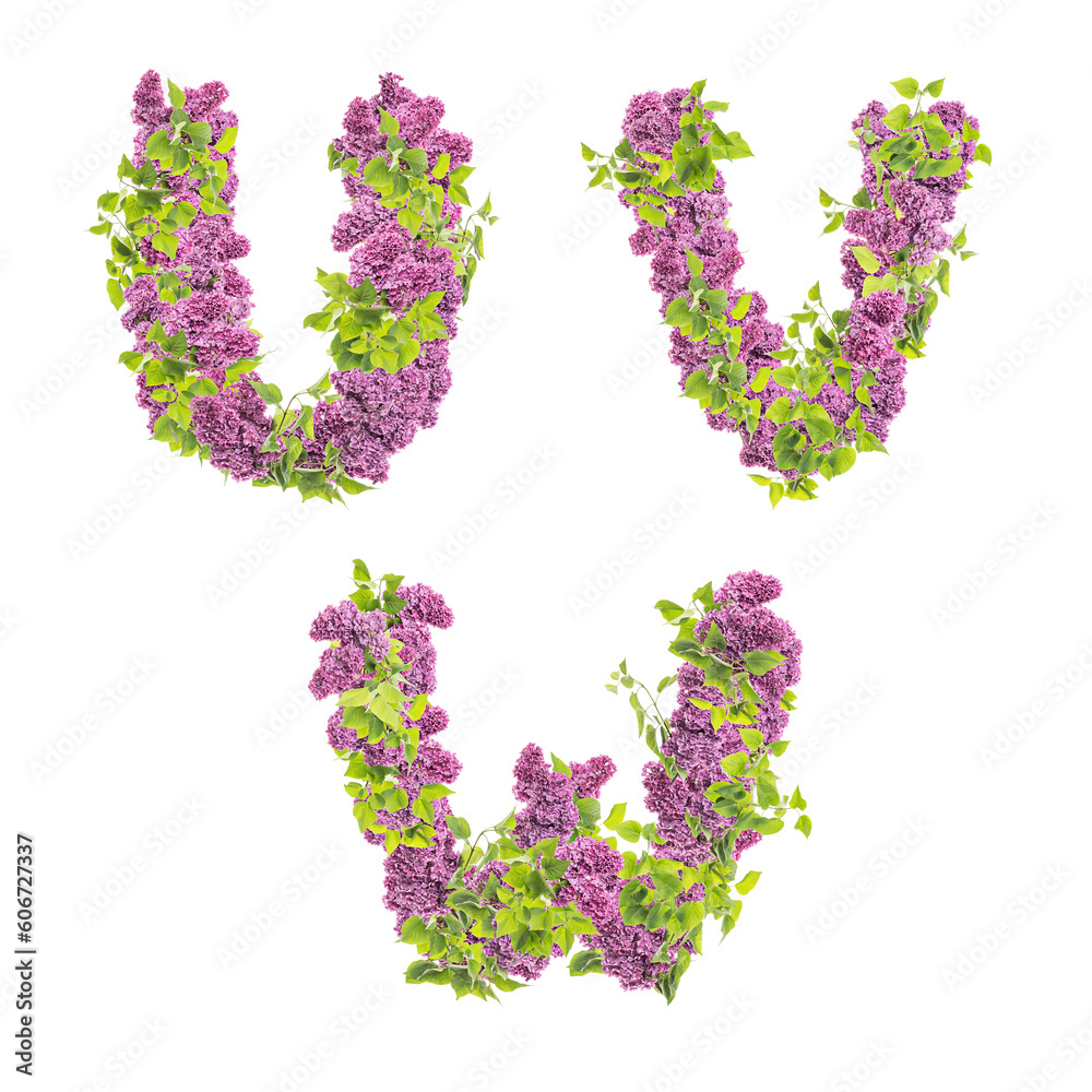 3D illustration of Lilac flowers alphabet  - letters U-W