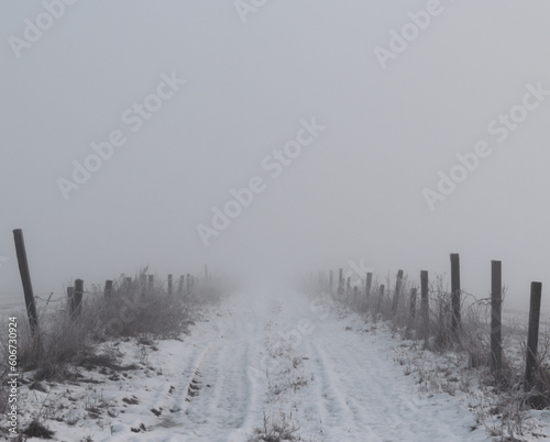 A country road in winter in thick fog