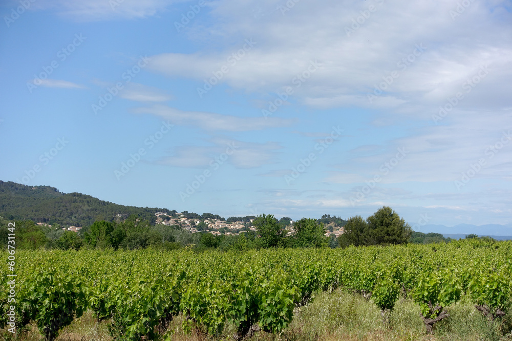 Paysage de vignes et du village