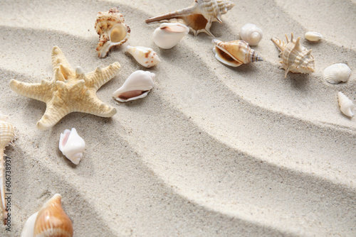 Frame made of starfish and seashells on sand