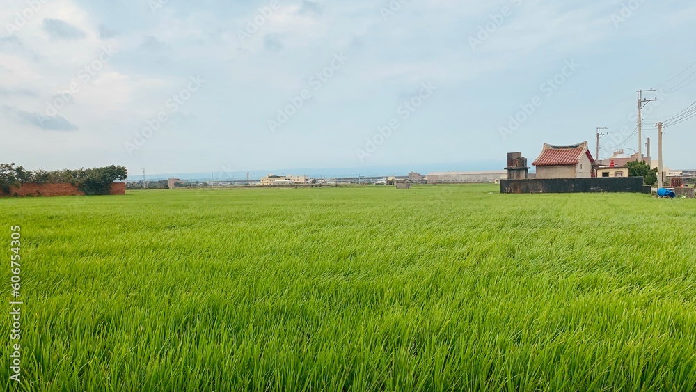 Grass field with a house on the right