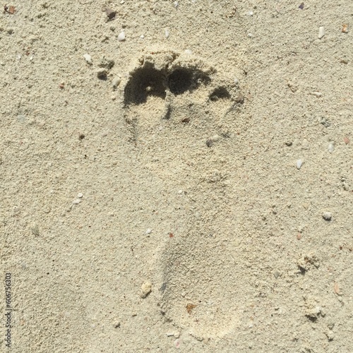 Footprints on a beautiful sandy beach