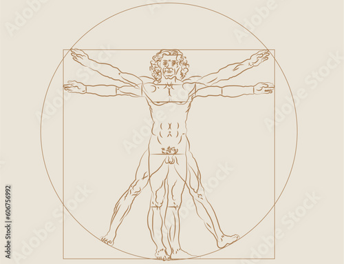Human proportion sketch Leonardo Da Vinci vector cmyk illustration simplified 